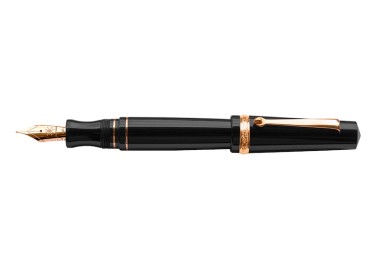 Maiora Aventus Onice Rose Gold Fountain Pen