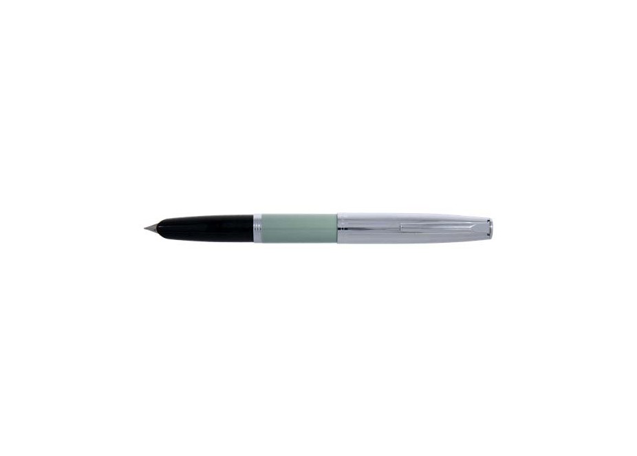 Aurora Duocart Gold Steel Hooded Nib Light Green Fontain Pen